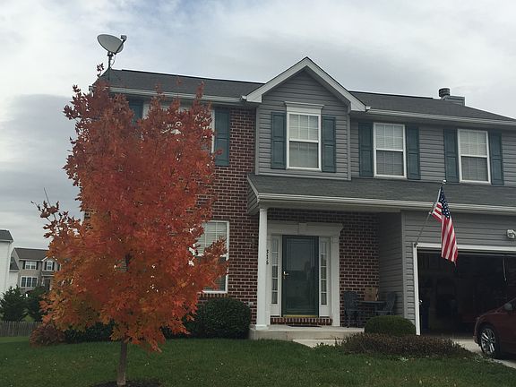 Fall view
