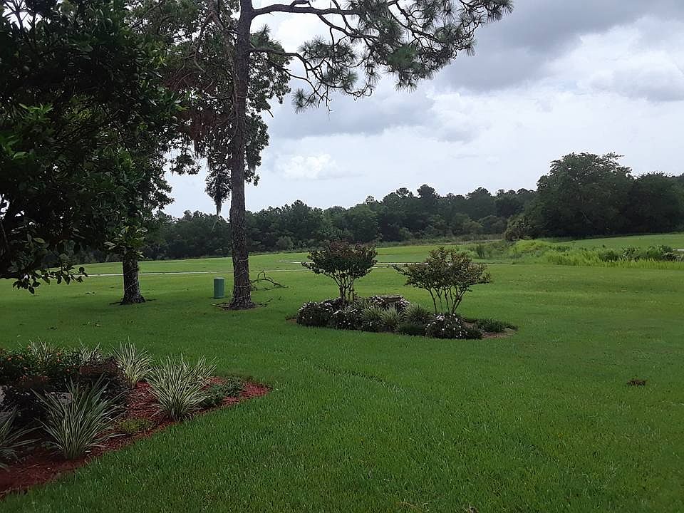 Backyard view of preserve