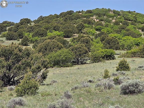 4th image of 99 Branding Iron Ln