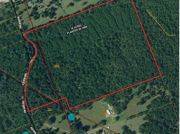 Aster Rd, Gilmer, TX 75644