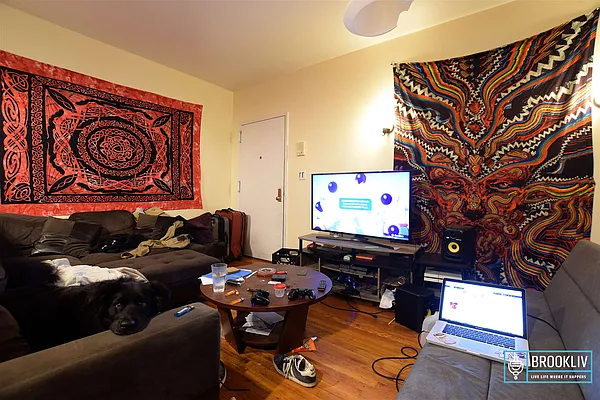 Rented by null | media 22