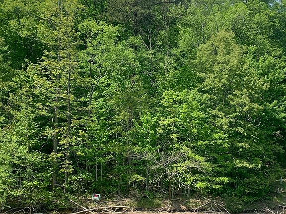 3rd image of Lot 8 Norris Shores Ln Lot 8