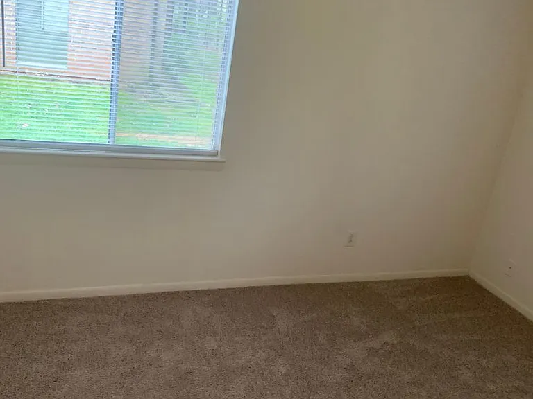 301 Orchard Trace Ln #4 — Photo 8