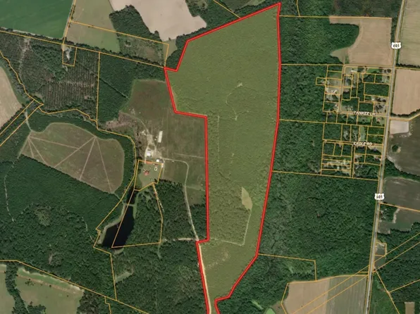 0 Rizer Cemetery Rd, Ehrhardt, SC 29081