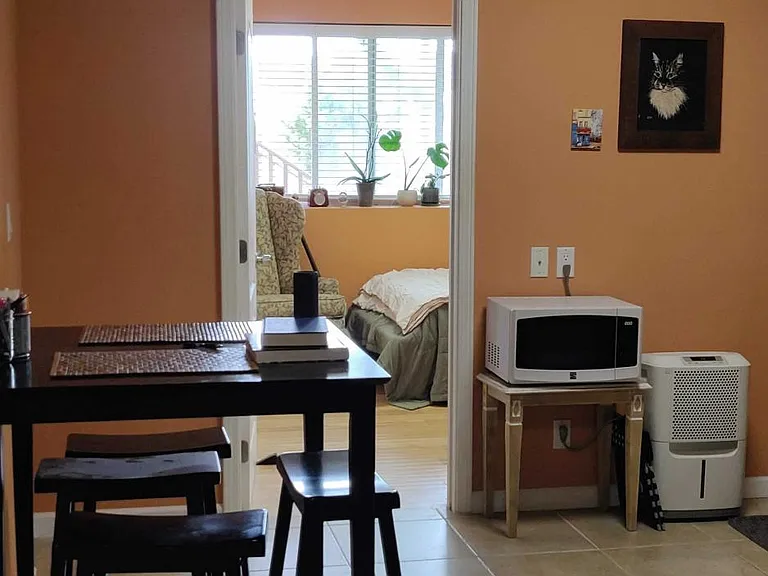 Living/Kitchen Area