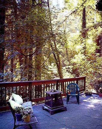 Relax to the sound of the creek