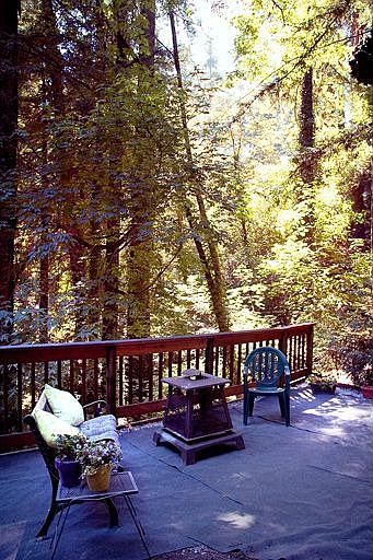 Relax to the sound of the creek