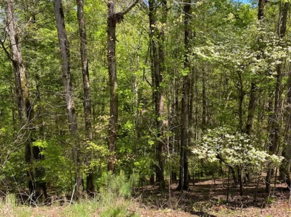 L812 Myna Dr, Ellijay, GA 30540