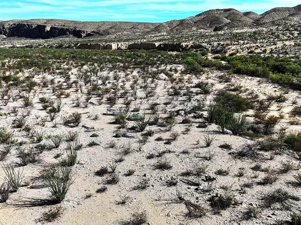 26885 Long Draw Rd, Terlingua, TX 79852