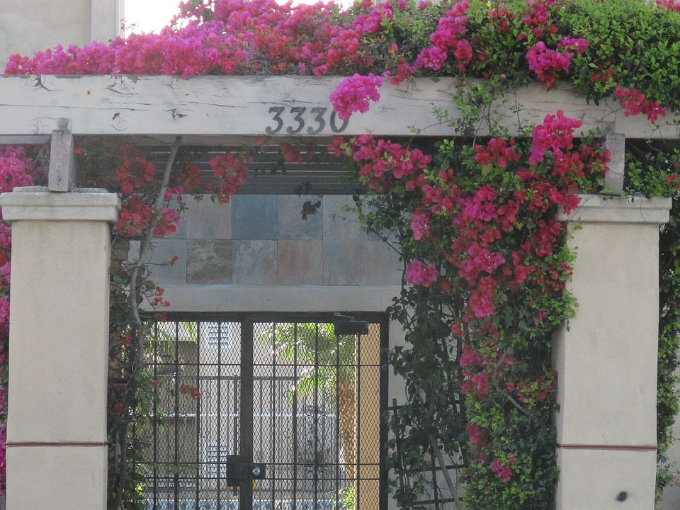 2nd image of 3330 30th St APT 20