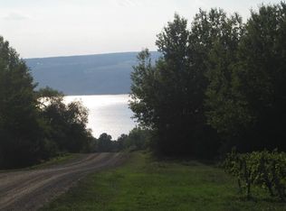 0 Goodwin Hill Rd #6, Dundee, NY 14837