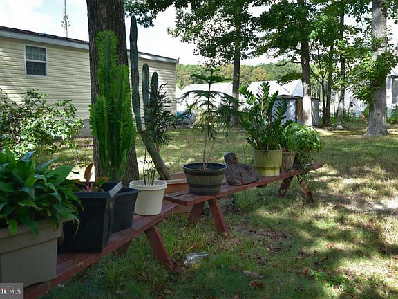 2nd image of 37239 Carolina Dr