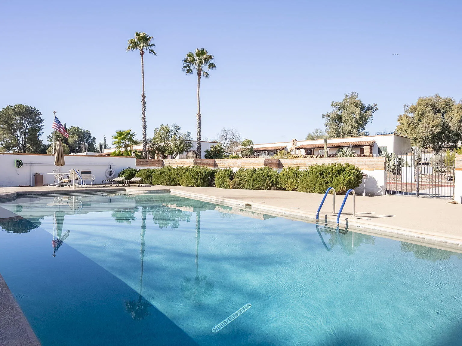 1 bed, 588 sqft, $1,000 — Photo 4