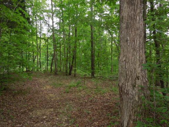 2nd image of 156.13 Ac. Clay County Hwy