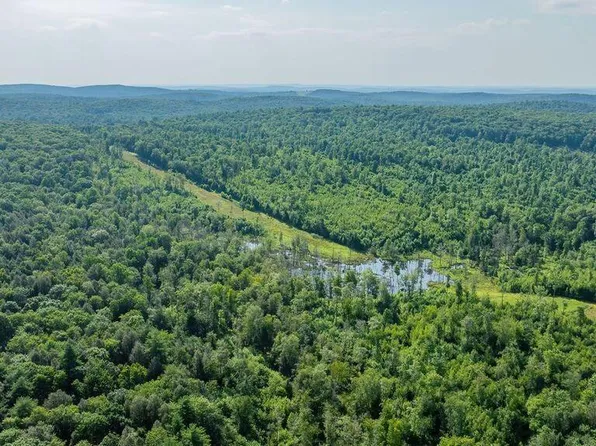 Kyttle Pike Rd, Sweet Valley, PA 18656