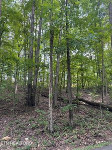 Sunnyside Rd, Philadelphia, TN, 37846