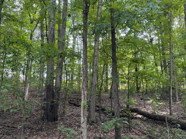 Sunnyside Rd, Philadelphia, TN 37846