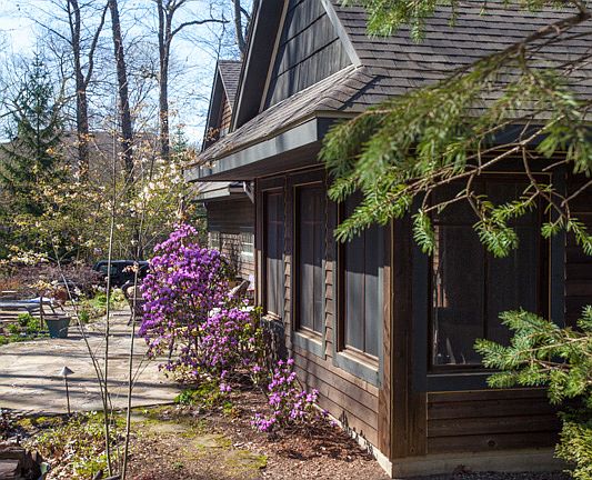 Spring arrives in purple!