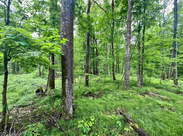 N12922 Limberg Ln #8, Athelstane, WI 54104