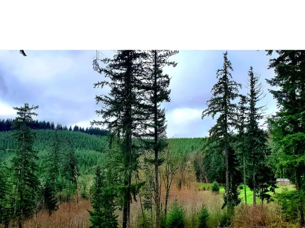 Viewcrest Dr, Warren, OR 97053