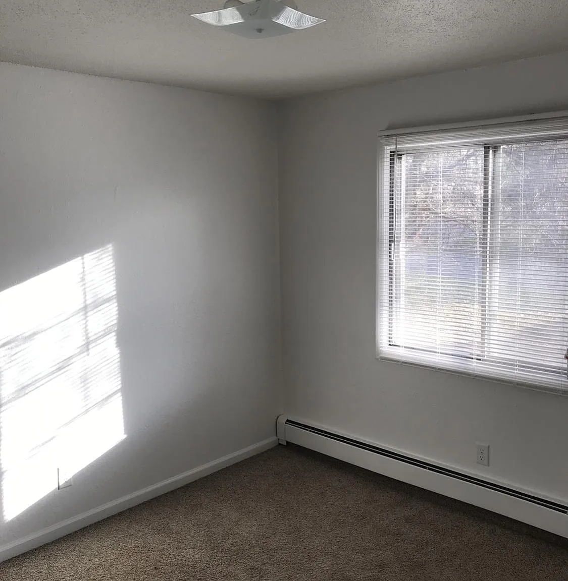 2 bed, 800 sqft, $1,095 — Photo 2