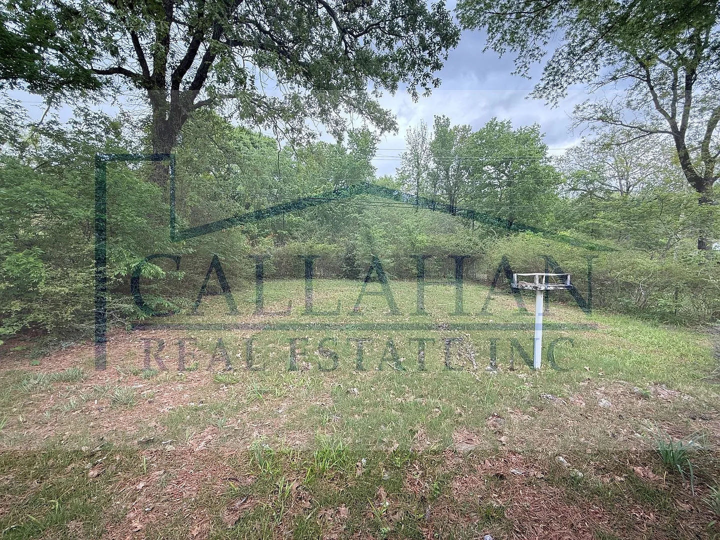 Updated NLR Home — Photo 2