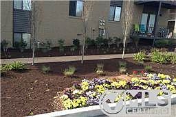2nd image of 6680 Charlotte Pike APT B8