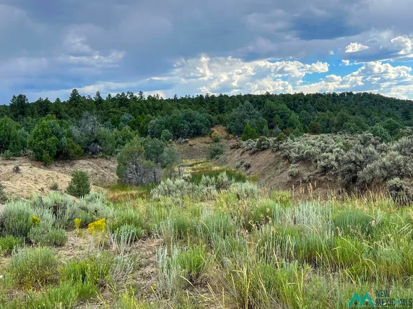Highway 84, Tierra Amarilla, NM 87575