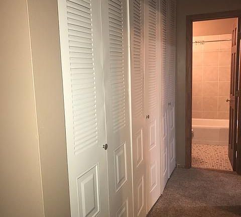 Hallway Closets/ Bathroom Entry