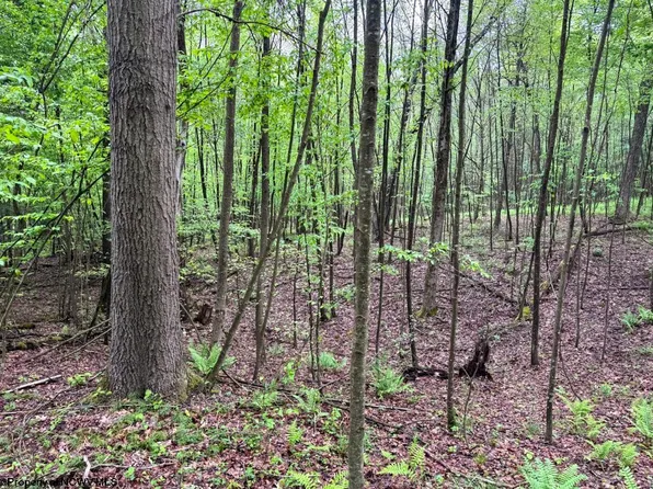 LOT 103 Laurel Loop, Bruceton Mills, WV 26525