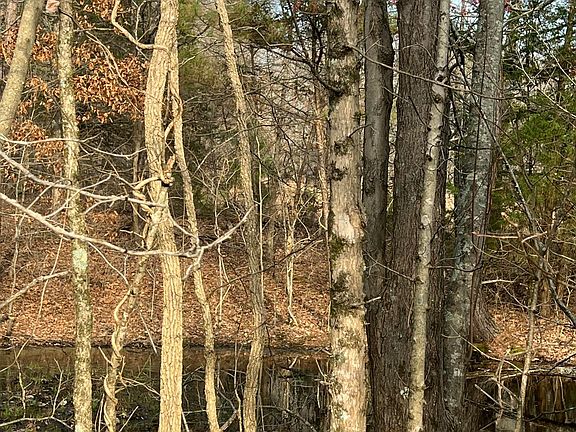 5th image of 0 Mitchell Rd