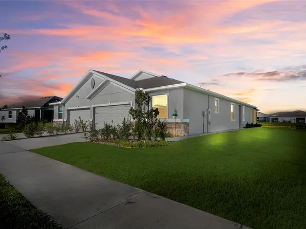 31511 Ancient Sage Rd, Wesley Chapel, FL 33545