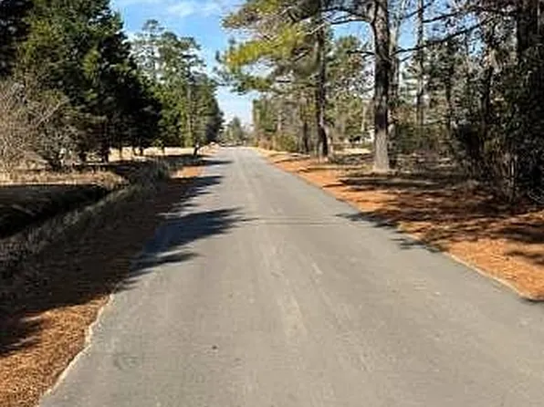 4427 Charlie Cade Rd, Effingham, SC 29541