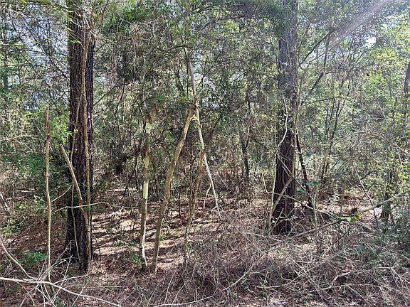 2nd image of LOT 28 Sycamore Ln