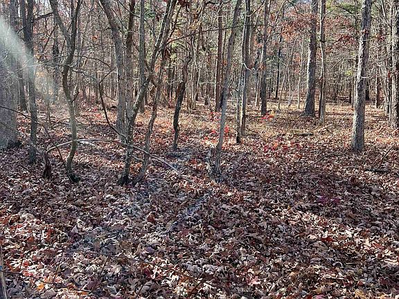 3rd image of 287 Mill Creek Ln