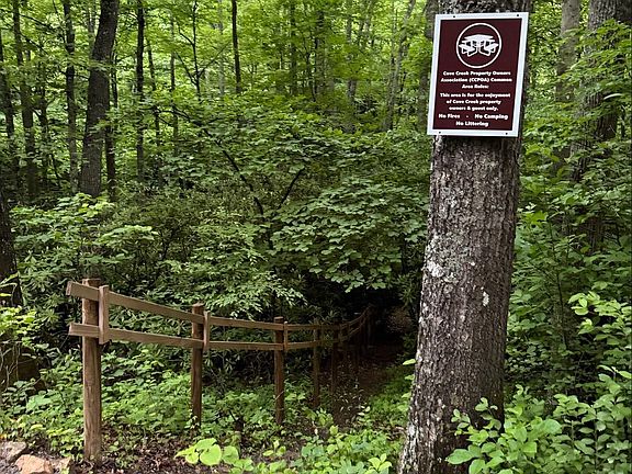 3rd image of Tbd Cove Creek Rd