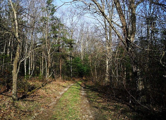 2nd image of 359 Fox Mountain Rd