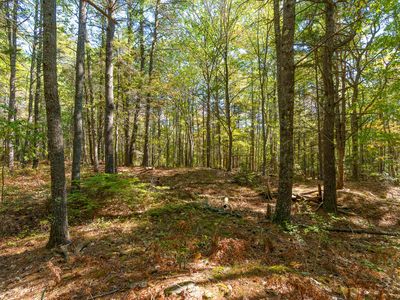 37 Vineyard Lane, Cape Neddick, ME, 03902