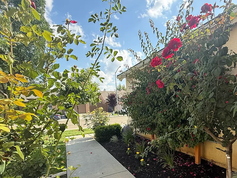1126 E Pinehurst Ave — Photo 3