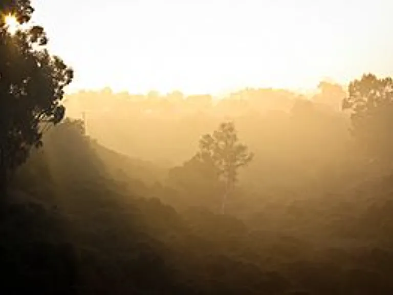 Canyon Sunset