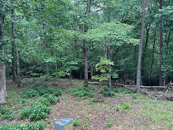 4th image of 21 Brasstown
