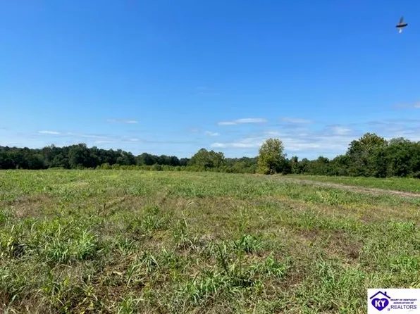 187 Alex Dr, Falls Of Rough, KY 40119