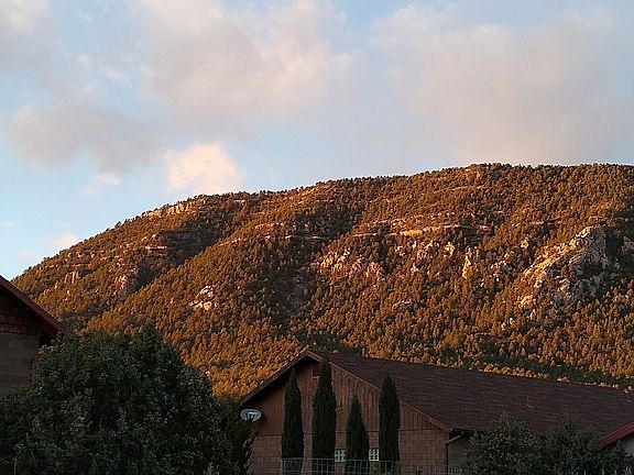 Kitchen window view.