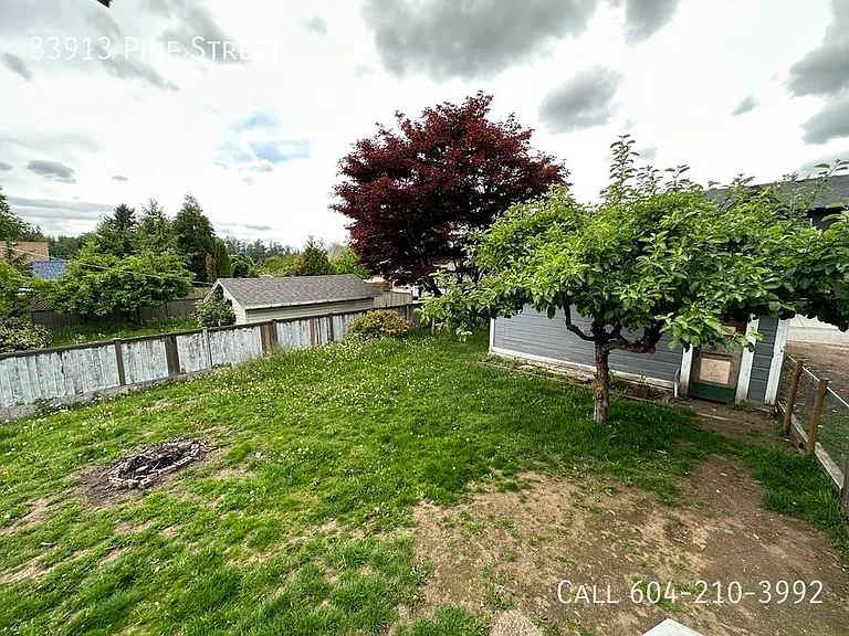 33913 Pine St — Photo 16