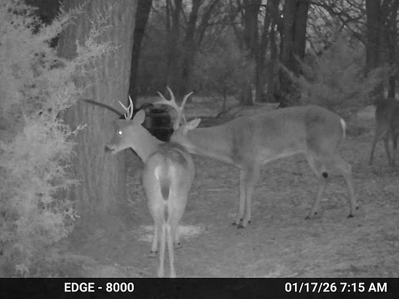 2nd image of 7705 S Kite Rd