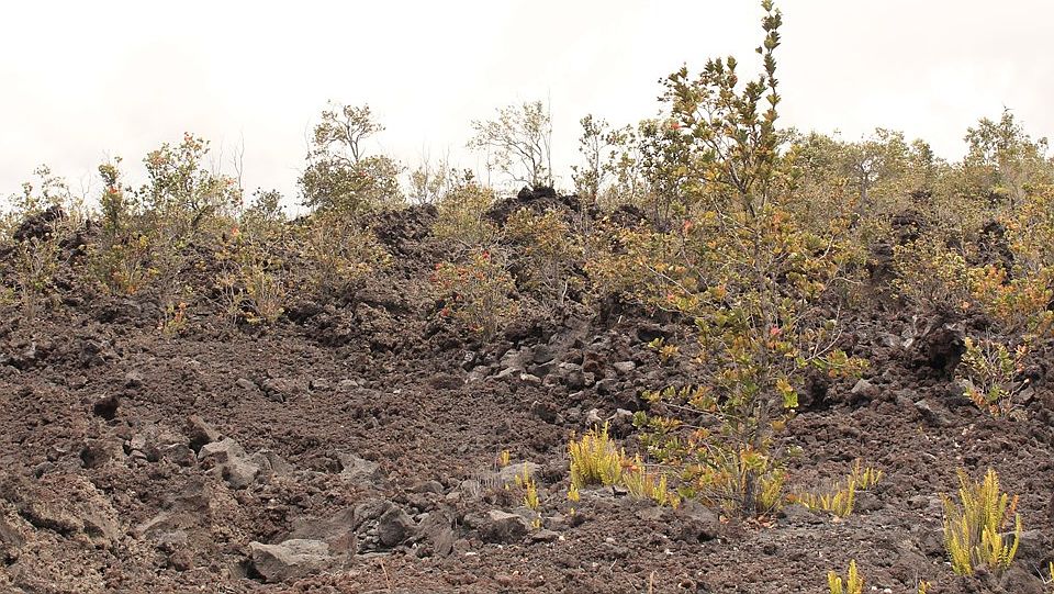 2nd image of 92-9071 King Kamehameha Blvd Lot 22