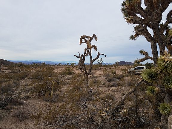 3rd image of 21456 N Red Mountain Dr
