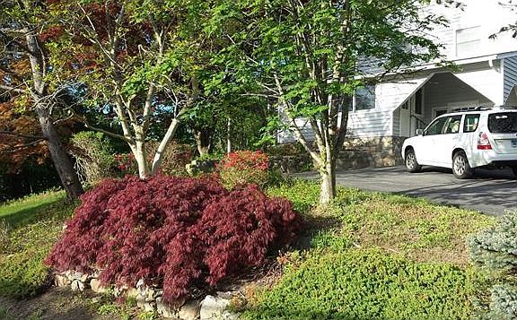 2nd image of 2950 Curry St