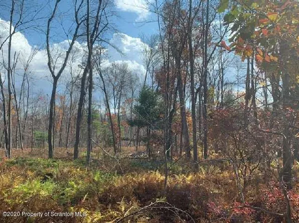 Blytheburn Rd, Mountain Top, PA 18707