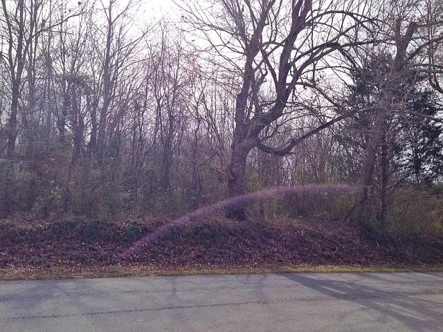 2nd image of 9783 McMinnville Hwy